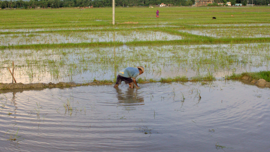群馬の魅力を発信するメディア「Re：Local」の運営JOMOのコンセプトであるJoy of missing outのイメージ画像